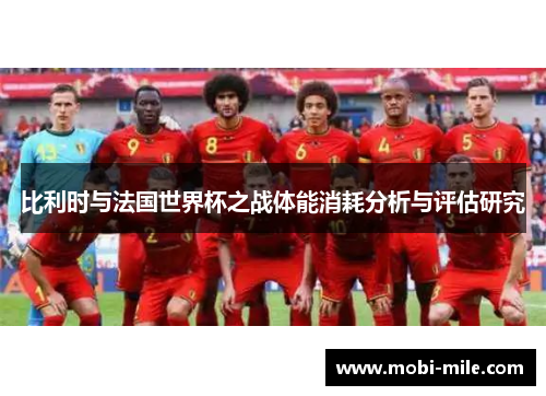 比利时与法国世界杯之战体能消耗分析与评估研究