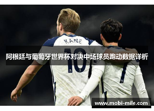 阿根廷与葡萄牙世界杯对决中场球员跑动数据详析