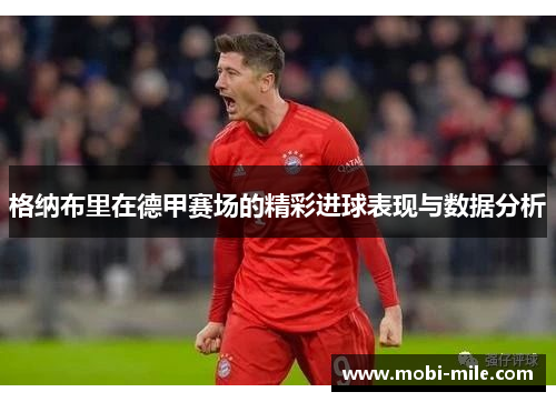 格纳布里在德甲赛场的精彩进球表现与数据分析
