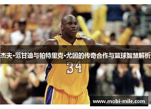 杰夫·范甘迪与帕特里克·尤因的传奇合作与篮球智慧解析