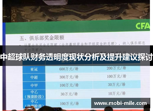 中超球队财务透明度现状分析及提升建议探讨