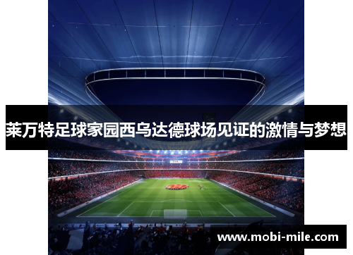莱万特足球家园西乌达德球场见证的激情与梦想