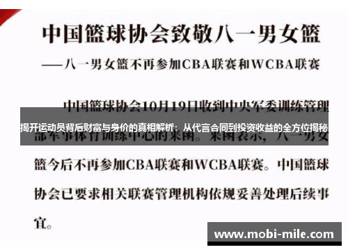 揭开运动员背后财富与身价的真相解析：从代言合同到投资收益的全方位揭秘