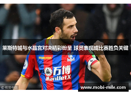 莱斯特城与水晶宫对决精彩纷呈 球员表现成比赛胜负关键 莱斯特城与水晶宫对决精彩纷呈 球员表现成比赛胜负关键