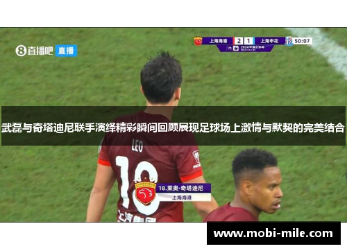 武磊与奇塔迪尼联手演绎精彩瞬间回顾展现足球场上激情与默契的完美结合