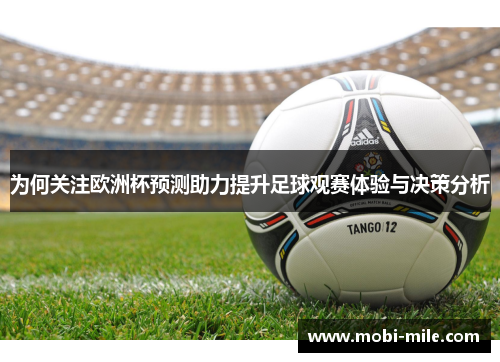 为何关注欧洲杯预测助力提升足球观赛体验与决策分析