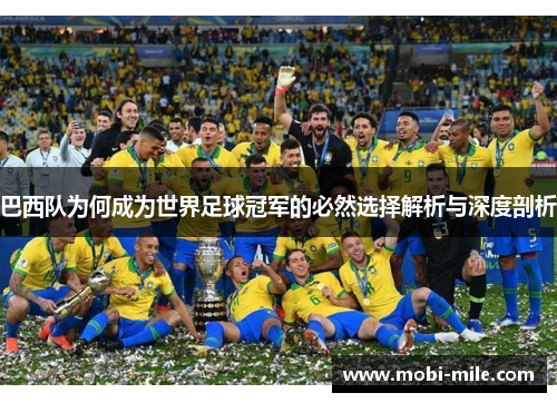 巴西队为何成为世界足球冠军的必然选择解析与深度剖析