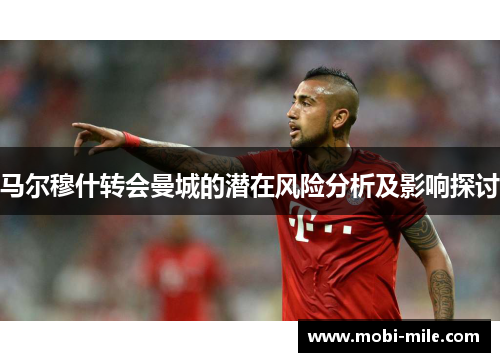 马尔穆什转会曼城的潜在风险分析及影响探讨