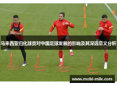 马来西亚归化球员对中国足球发展的影响及其深远意义分析