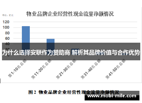 为什么选择安联作为赞助商 解析其品牌价值与合作优势