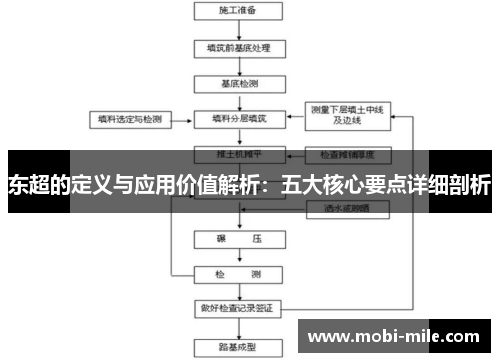 东超的定义与应用价值解析：五大核心要点详细剖析