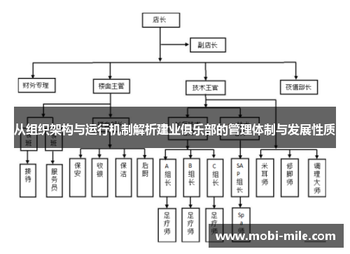 从组织架构与运行机制解析建业俱乐部的管理体制与发展性质