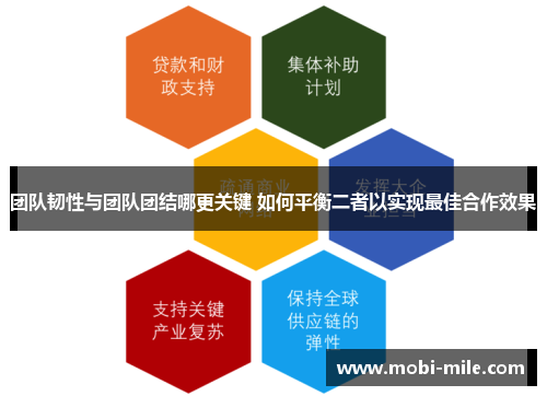 团队韧性与团队团结哪更关键 如何平衡二者以实现最佳合作效果