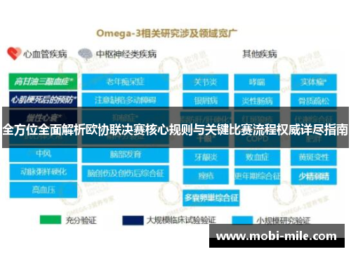 全方位全面解析欧协联决赛核心规则与关键比赛流程权威详尽指南