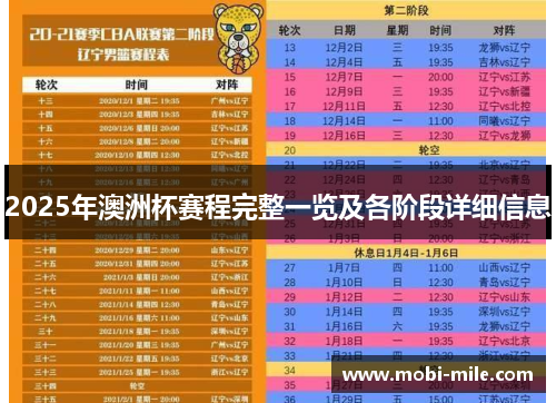 2025年澳洲杯赛程完整一览及各阶段详细信息