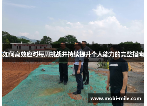 如何高效应对每周挑战并持续提升个人能力的完整指南