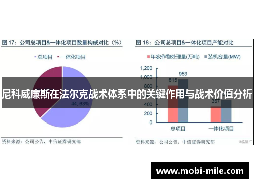 尼科威廉斯在法尔克战术体系中的关键作用与战术价值分析