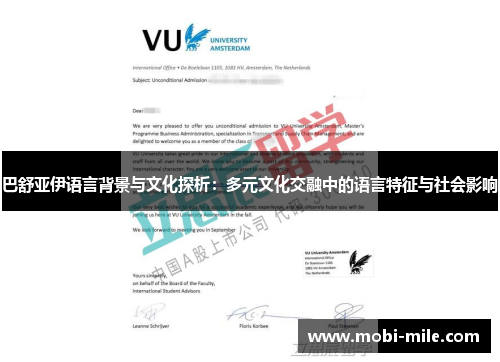 巴舒亚伊语言背景与文化探析：多元文化交融中的语言特征与社会影响