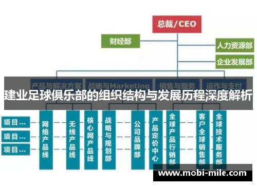 建业足球俱乐部的组织结构与发展历程深度解析