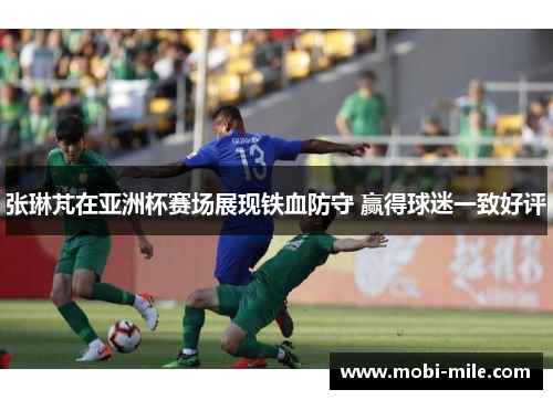 张琳芃在亚洲杯赛场展现铁血防守 赢得球迷一致好评 张琳芃在亚洲杯赛场展现铁血防守 赢得球迷一致好评