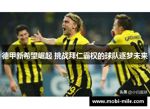 德甲新希望崛起 挑战拜仁霸权的球队逐梦未来 德甲新希望崛起 挑战拜仁霸权的球队逐梦未来