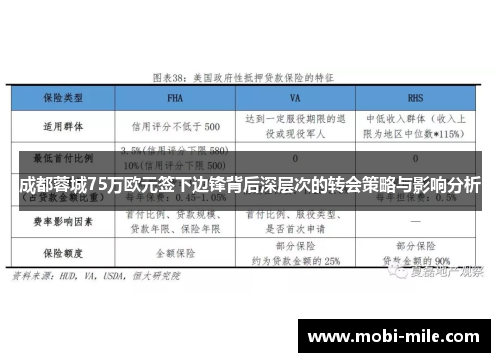 成都蓉城75万欧元签下边锋背后深层次的转会策略与影响分析 成都蓉城75万欧元签下边锋背后深层次的转会策略与影响分析
