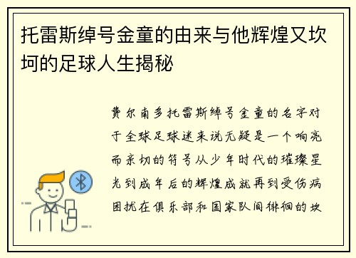托雷斯绰号金童的由来与他辉煌又坎坷的足球人生揭秘 托雷斯绰号金童的由来与他辉煌又坎坷的足球人生揭秘